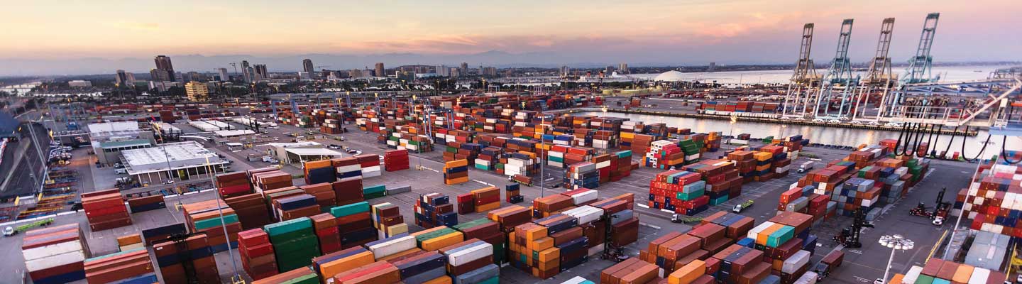 port authority supply chain