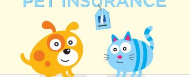 Nationwide Pet Insurance